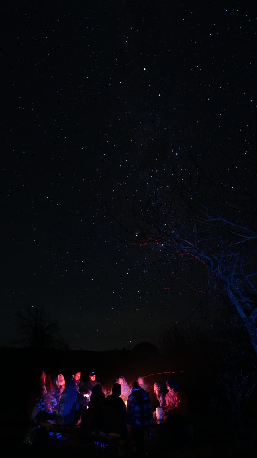 Fogata nocturna en la montaña