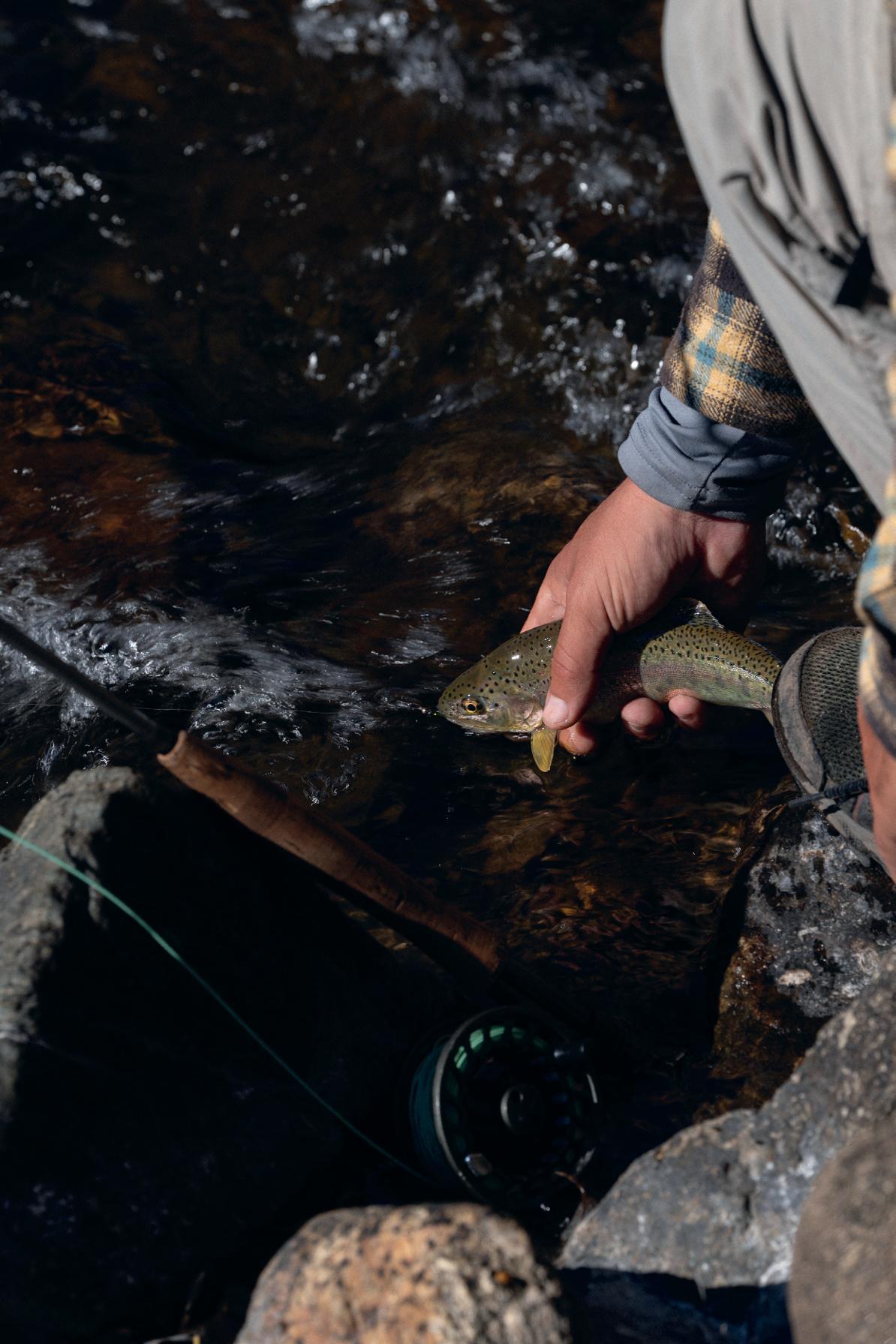 Córdoba Fly Fishing Adventure