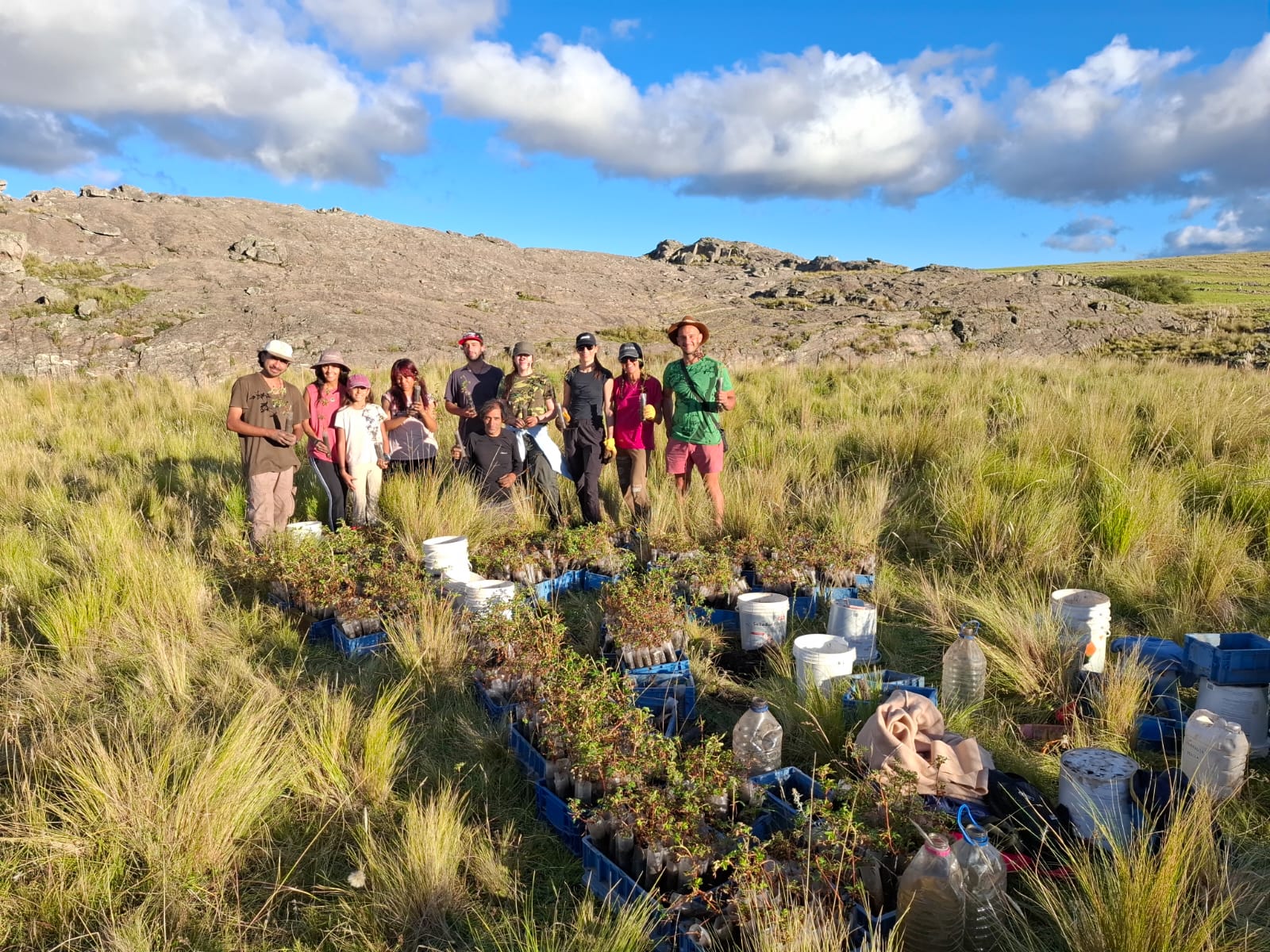 Voluntarios reunidos con plantines nativos para una jornada de reforestación