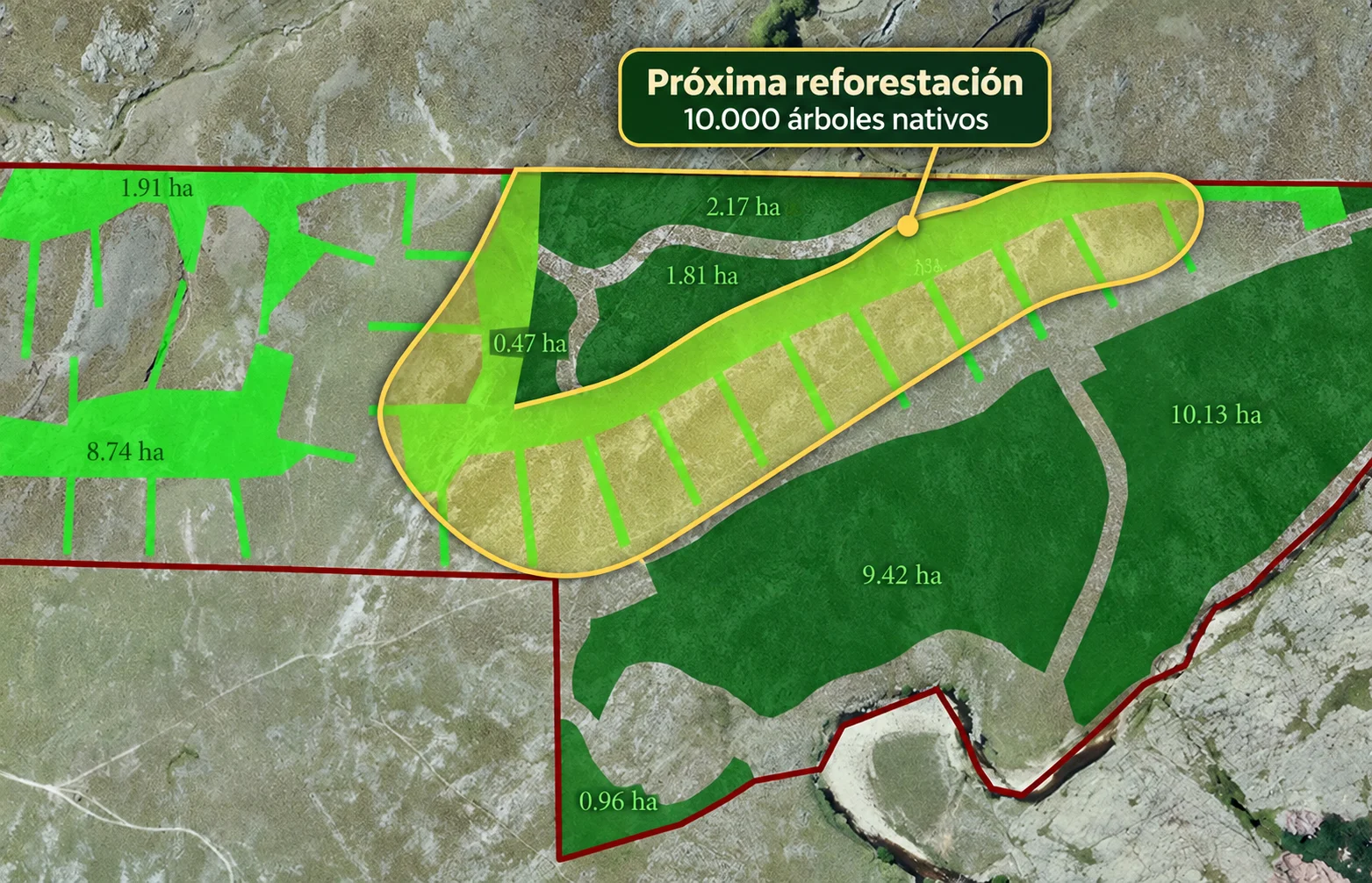 Jornada de Reforestación · Campamento